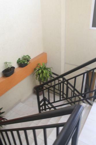 Hotel Linaje Real