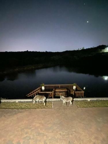 Apartamento 21 Wildfig- Live With Nature
