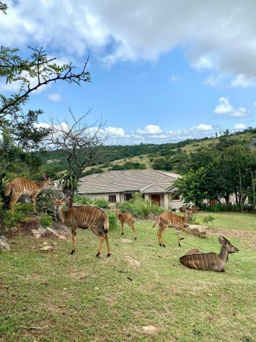 Apartamento 21 Wildfig- Live With Nature