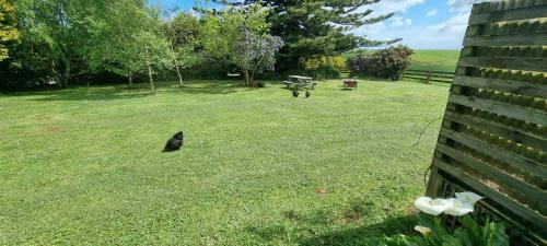 Rocky Cape Farmhouse