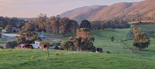 Rocky Cape Farmhouse