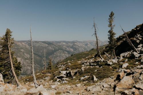 Glamping Tent With Beautiful Mokelumne Peak Views Cabin