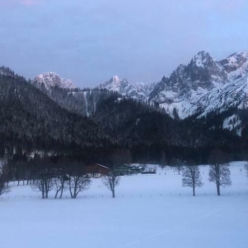 Apartamento Family Appartment - Dachstein View - Casa Kaspar