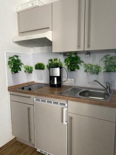 Apartamento Haus Pavillon Whg 3