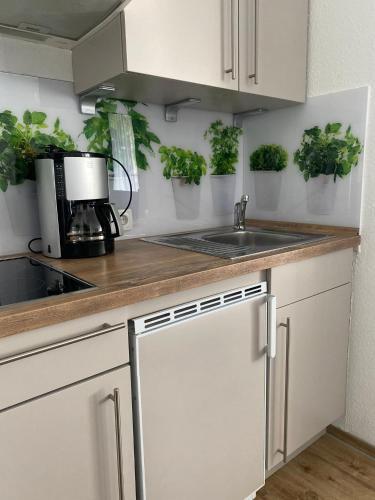 Apartamento Haus Pavillon Whg 3