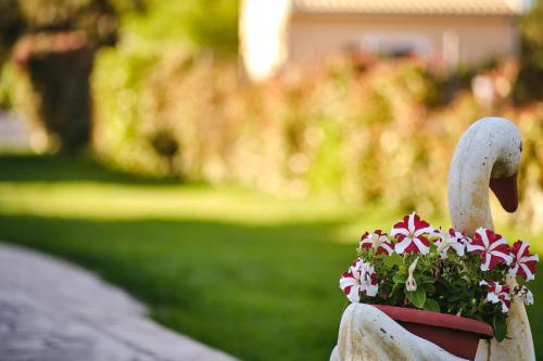 Apartamento Villa Doreta
