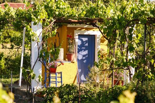 Apartamento Villa Doreta
