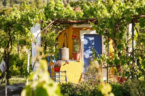 Apartamento Villa Doreta