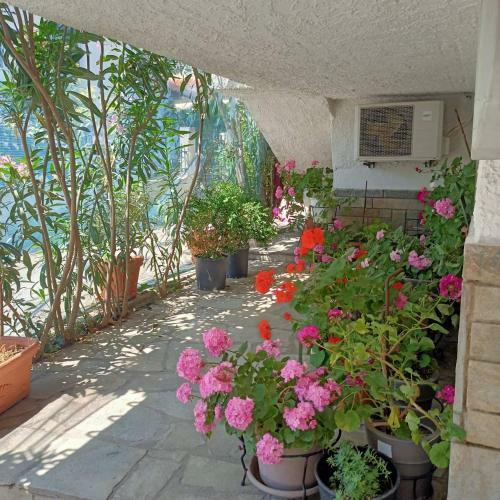 Hostal Magda Studios
