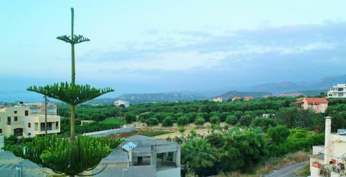 Apartamento Selena View Studios