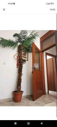 Soha Apartments