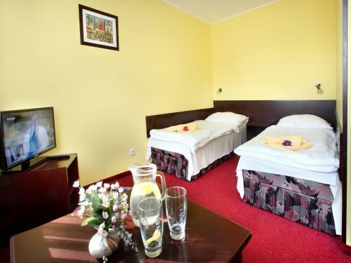Hotel Milan Vopicka
