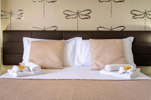 B&B Agramonte