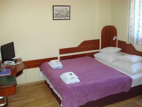 Hotel Szent Gy�rgy Fogad�