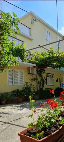 Apartments Tereza