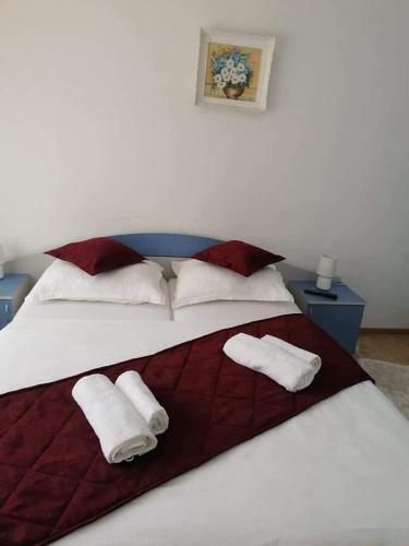 Hostal Ca La Mama Acasa S.r.l