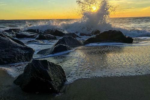 Rehoboth Beach -- The Crest #303
