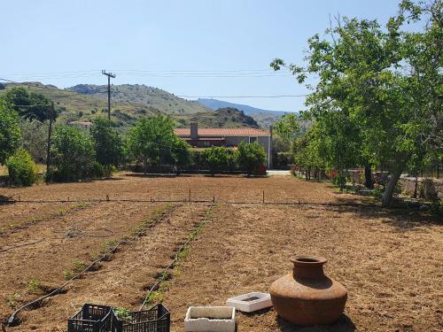 Sun House Apartments In Eftalou