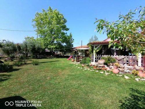 Country Village