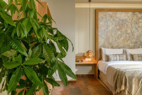Casbah Boutique Hotel