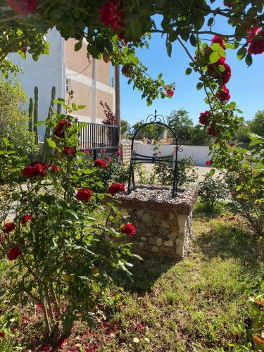Apartamento Sophia's Guesthouse