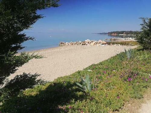 Porto Almira Beachfront Apartments