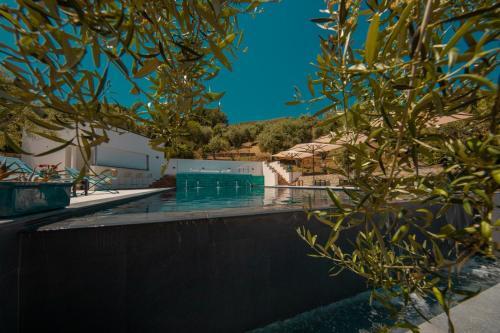 Hotel Villa Tot�