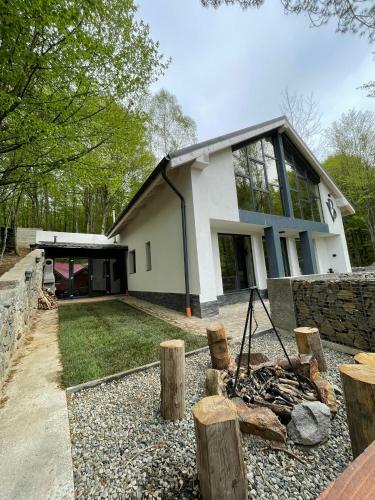Villa Vila Blanc Valiug Crivaia