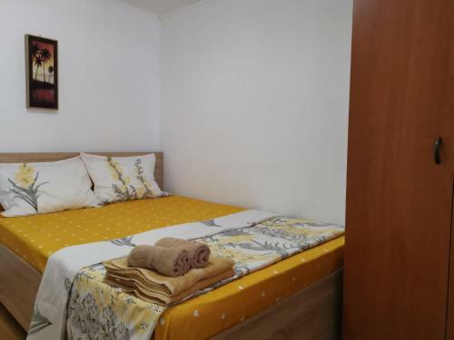 Hostal Casa Ioana