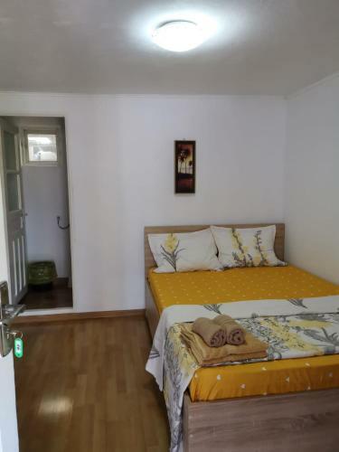 Hostal Casa Ioana