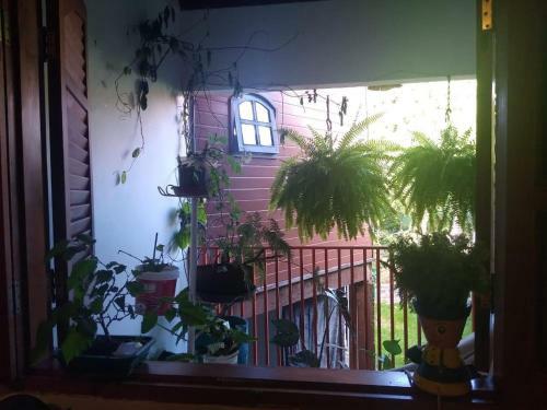 Casa Com Jeito De S�tio Na Cidade