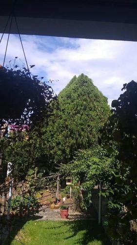 Casa Com Jeito De S�tio Na Cidade