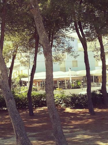 Hotel Petit Royal