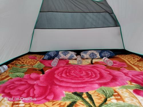 Camping And Hiking