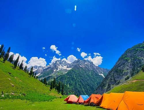 Camping And Hiking