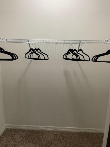 Beautiful 1 Bed 1 Bath Luxury Apartment
