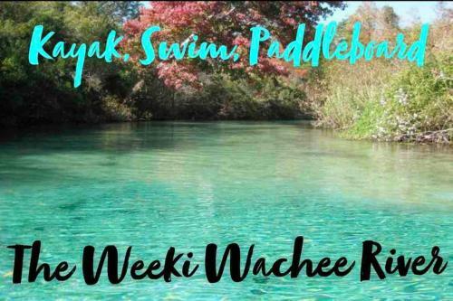 Paradise * Pool/tropical Sunsets/kayaks/fishing!