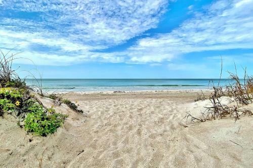 Beach Palms 405