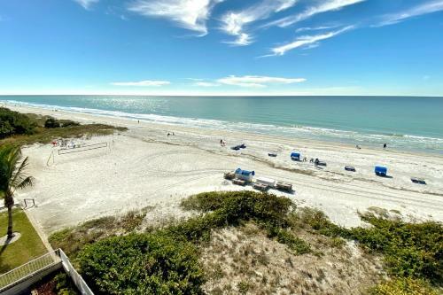 Beach Palms 405