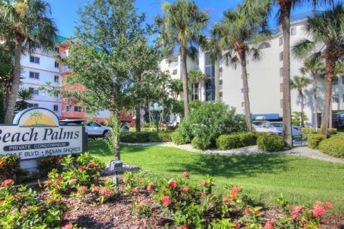 Beach Palms 108
