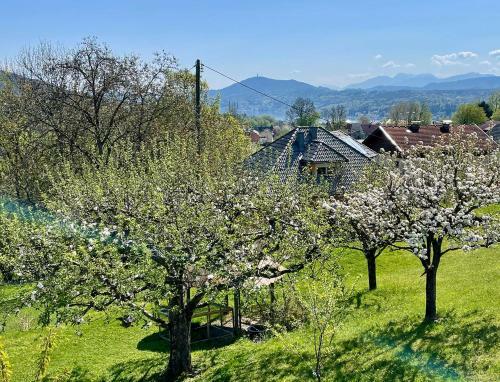 Apartamento Ferienwohnung Margarethe