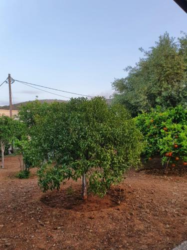 Bed & Breakfast Casa Portokali