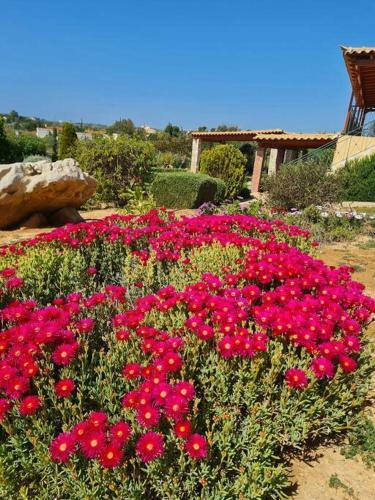 Guesthouse Petrothalassa