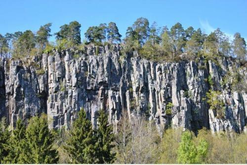Ecopark Halle-hunneberg, Varg�n