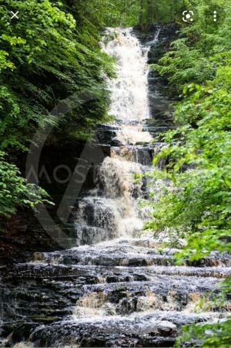 Ecopark Halle-hunneberg, Varg�n
