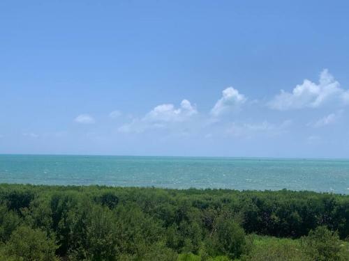 Apartamento Oceanfront Paradise Awaits You