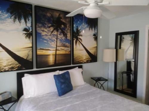 Tampa Bay Beautiful Apartment And Private Jacuzzi