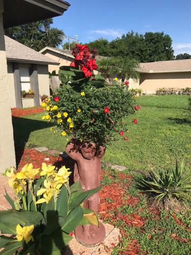 Bongo Stays Beautiful Upscale Home Close To The Airport
