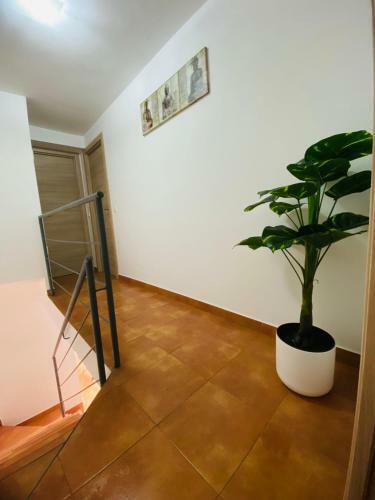 Casa Paco