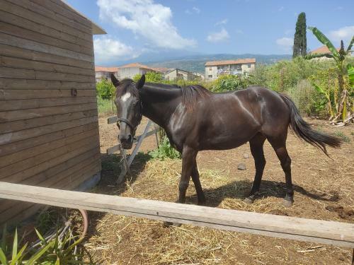 Etna Country